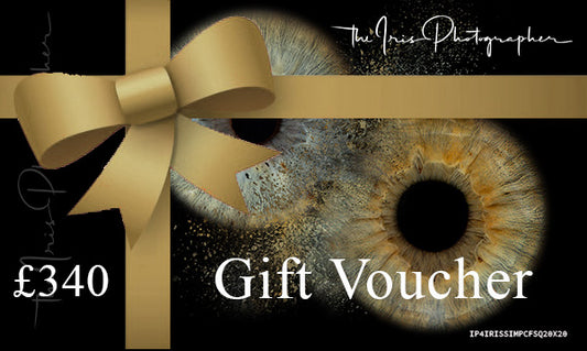 4 Iris Simple Effect Contemporary Square Frame 20x20