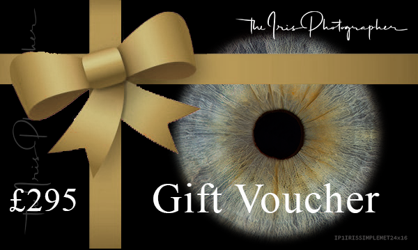 1 Iris Simple Effect Metallic Print 24x16