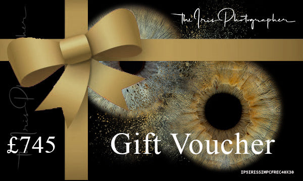 5 Iris Simple Effect Contemporary Rectangle Frame 40x30