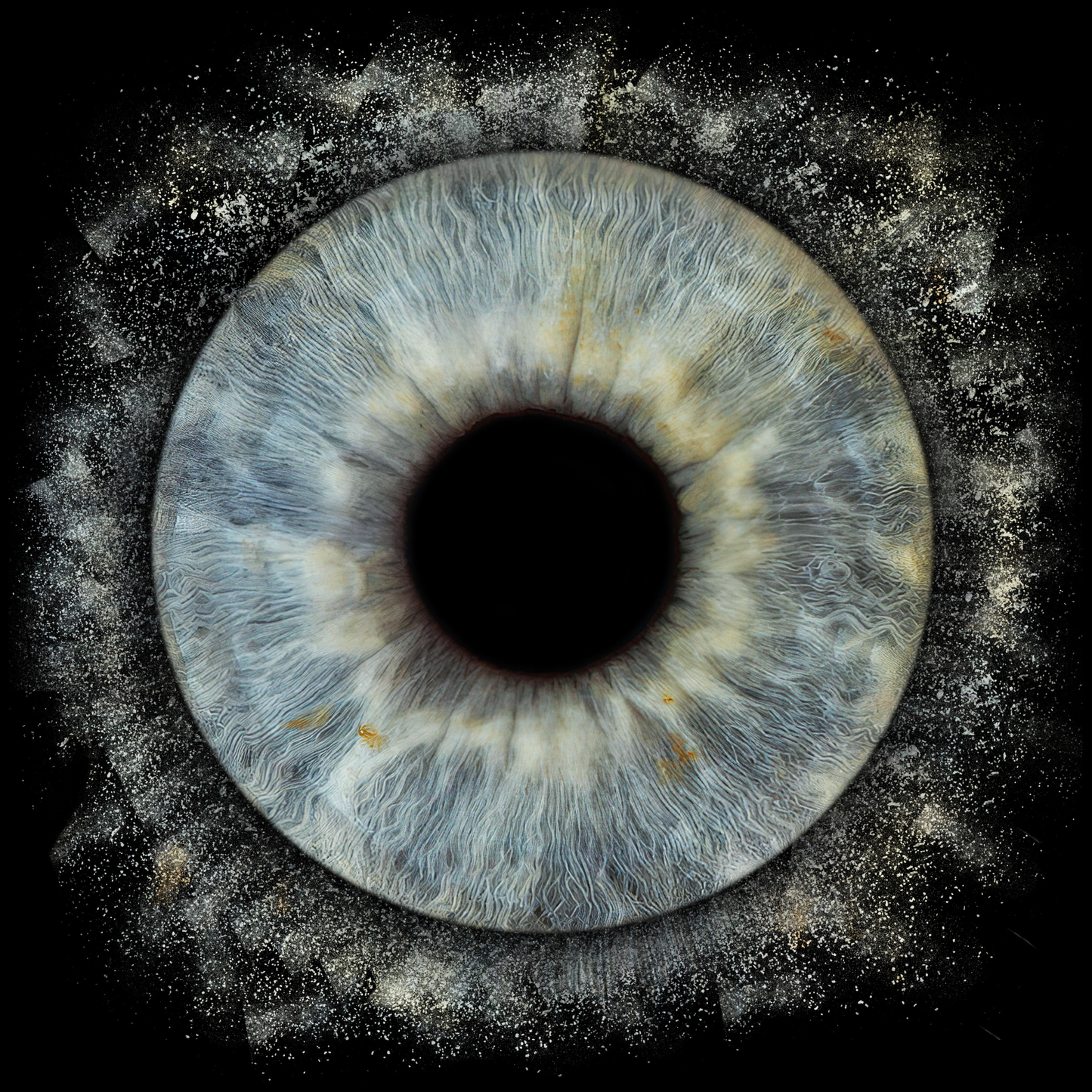 10 x 8 in - Iris Photographic Prints