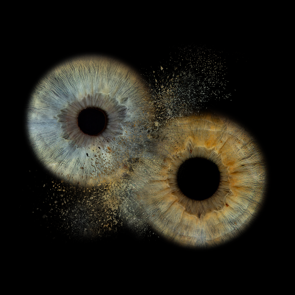 Metallic Round Iris Wall Art