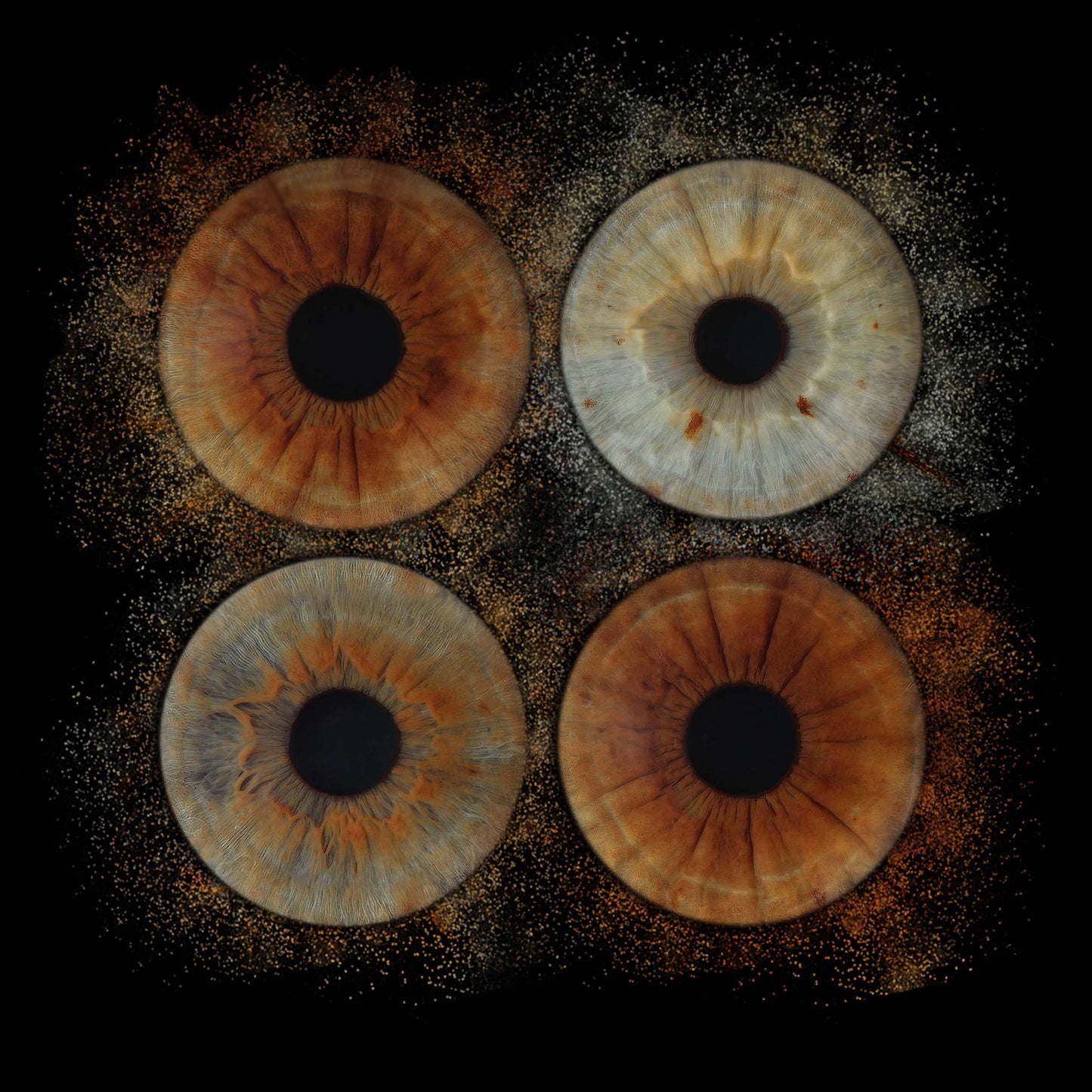 10 x 10 inch - Iris Photographic Prints