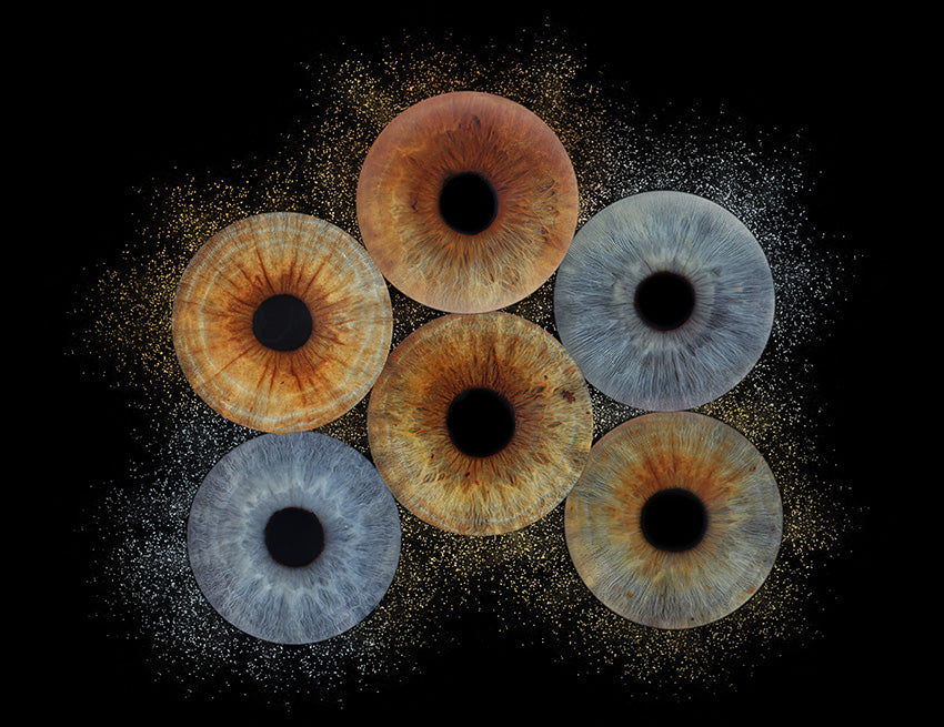 A4 (11.7 x 8.3 in) - Iris Photographic Prints