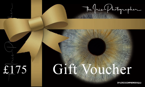 1 Iris Simple Effect Wood Frame 12x12