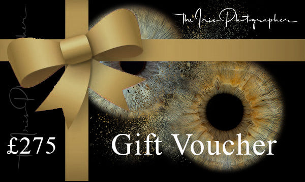 4 Iris Simple Effect Contemporary Square Frame 16x16