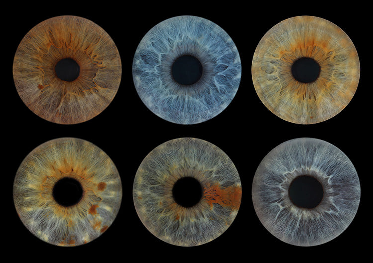 A4 (11.7 x 8.3 in) - Iris Photographic Prints