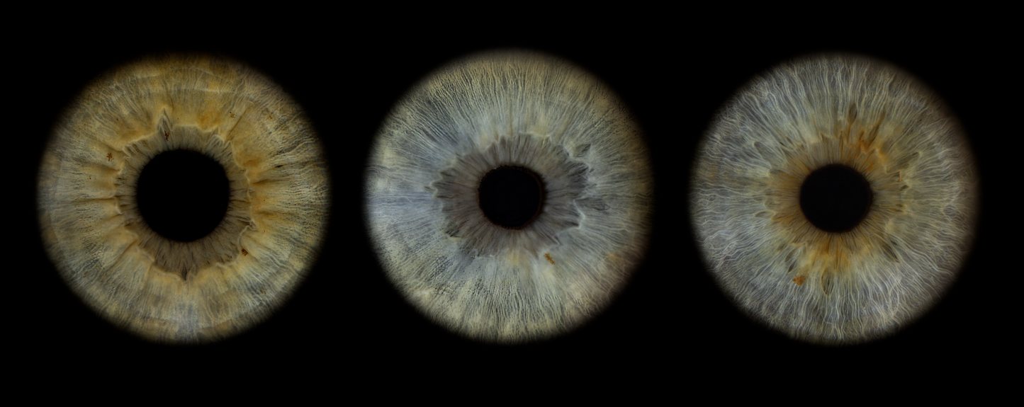 Acrylic Panoramic Iris Wall Art Ratio 4:1