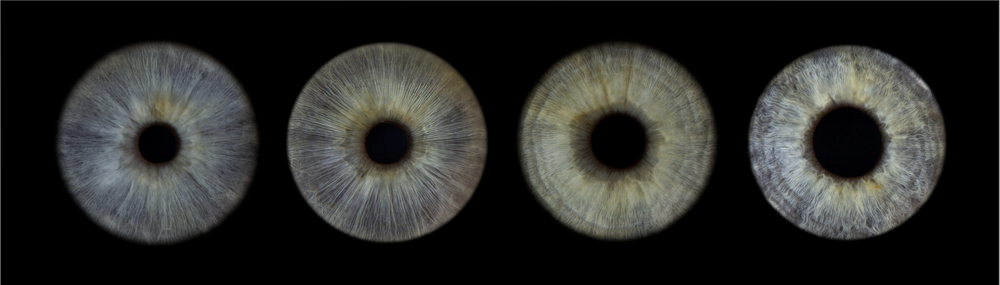 Acrylic Panoramic Iris Wall Art Ratio 4:1
