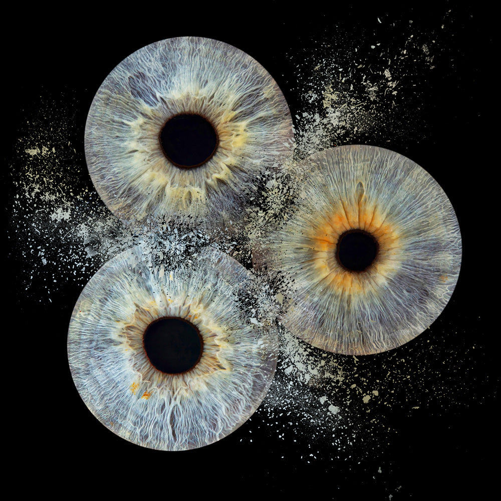 10 x 10 inch - Iris Photographic Prints