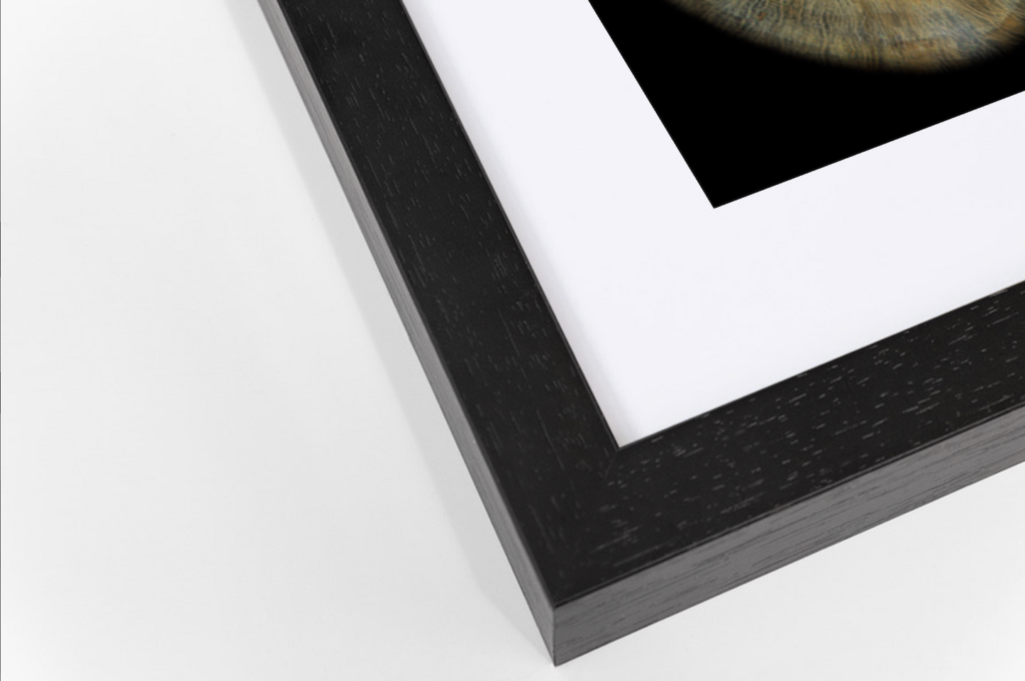 Contemporary Black Wooden SQUARE Framed Iris Wall Art Single Mount Card