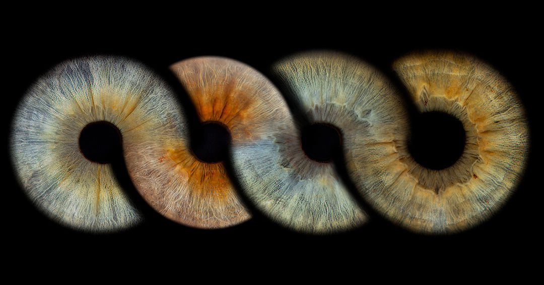 Acrylic Rectangle Iris Wall Art