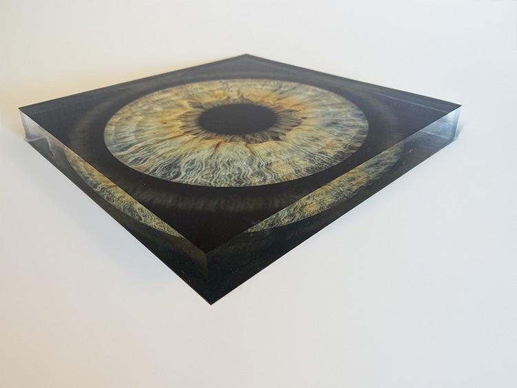 Acrylic Panoramic Iris Photo Blocks