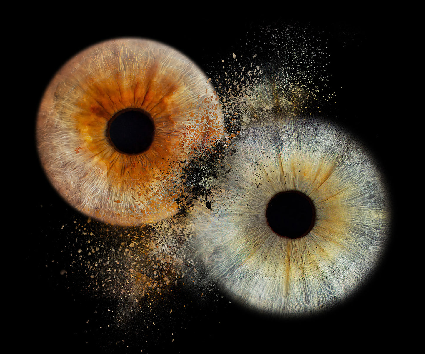 10 x 10 inch - Iris Photographic Prints