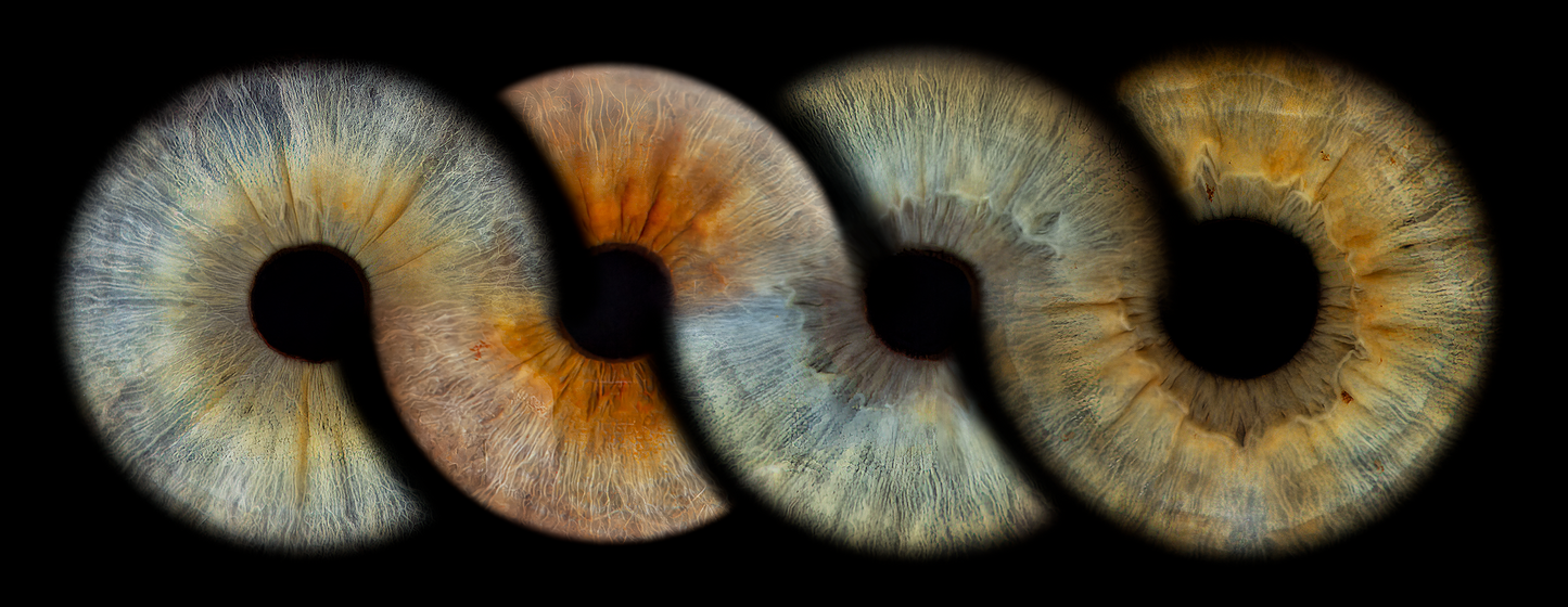 Metallic Round Iris Wall Art