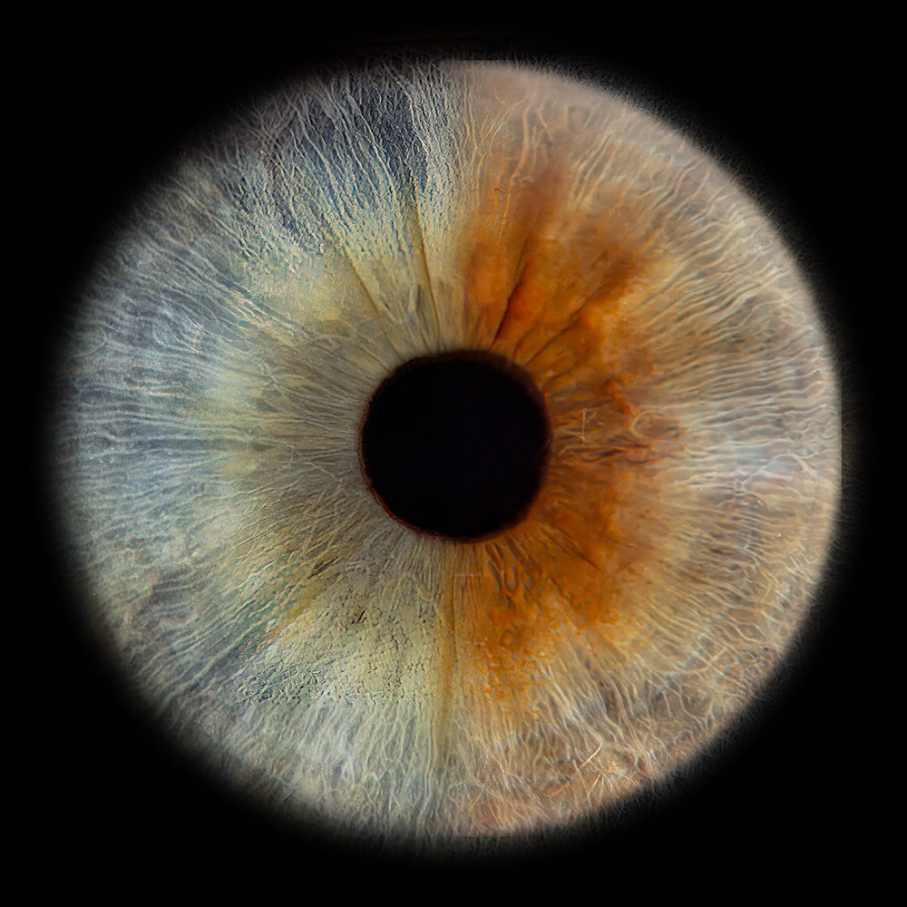 10 x 10 inch - Iris Photographic Prints