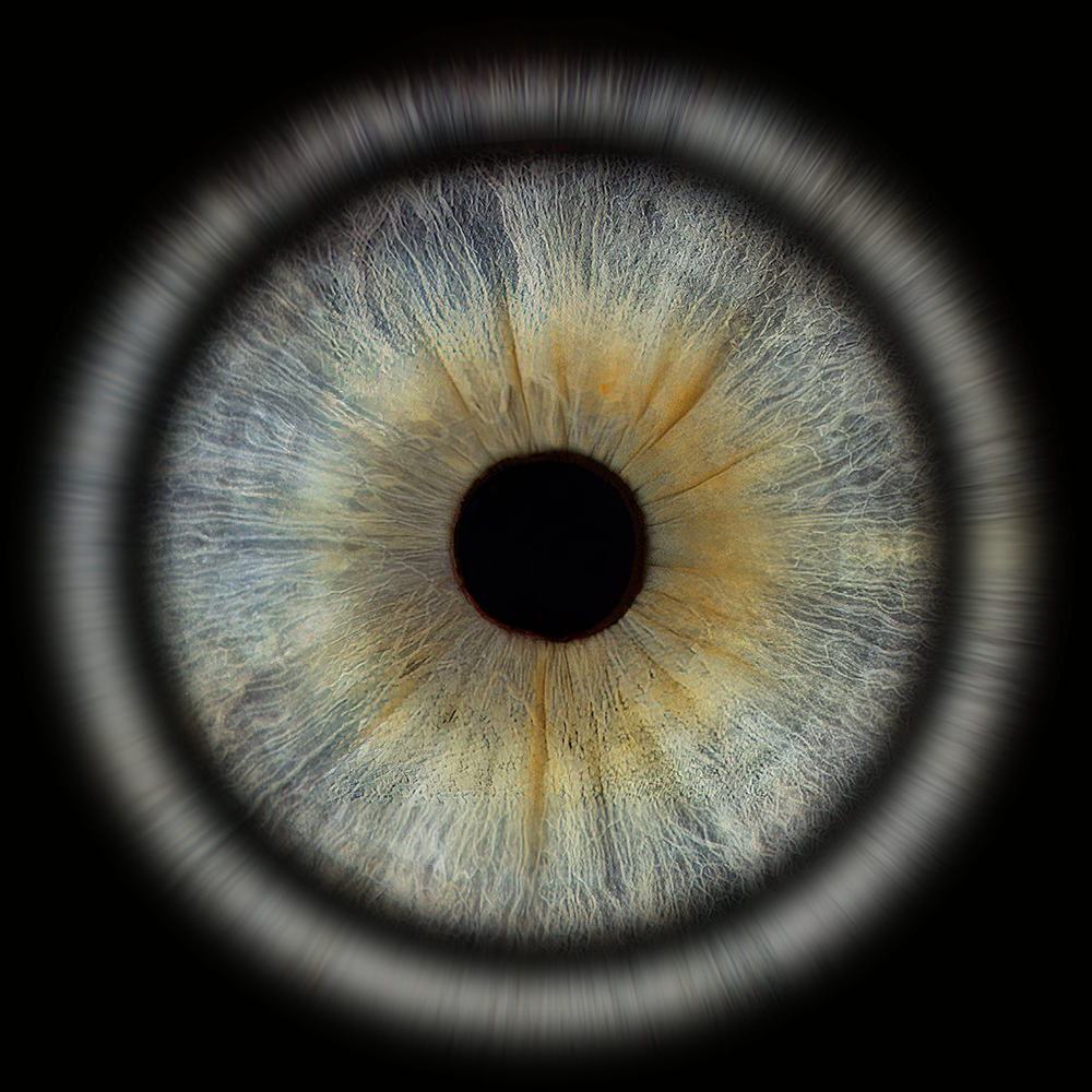 Acrylic Square Iris Wall Art