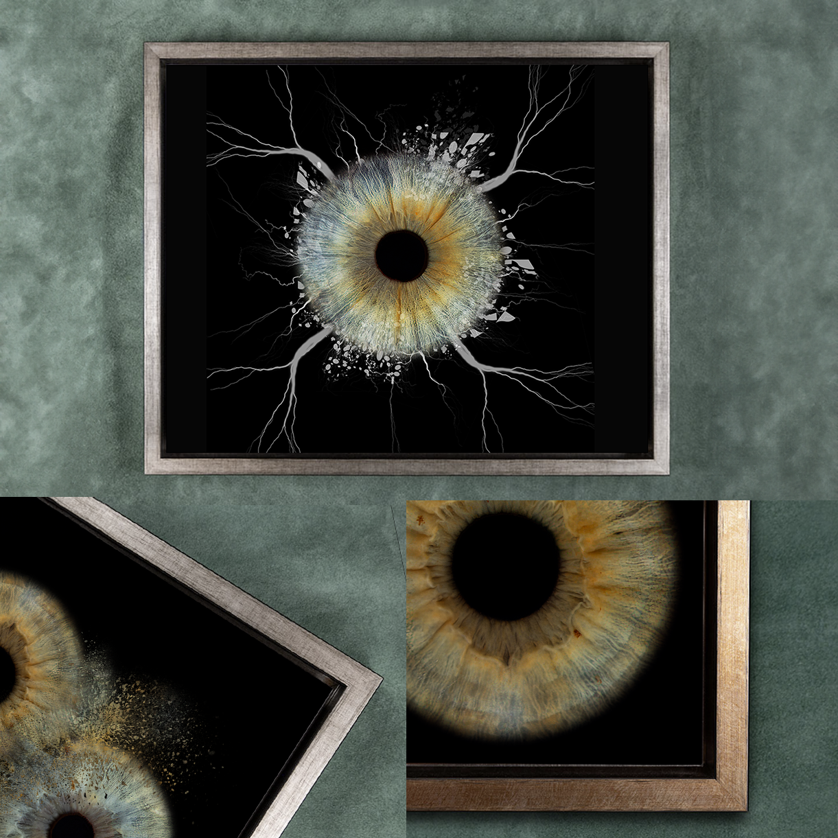 Aluminium Floating Frames Iris Wall Art
