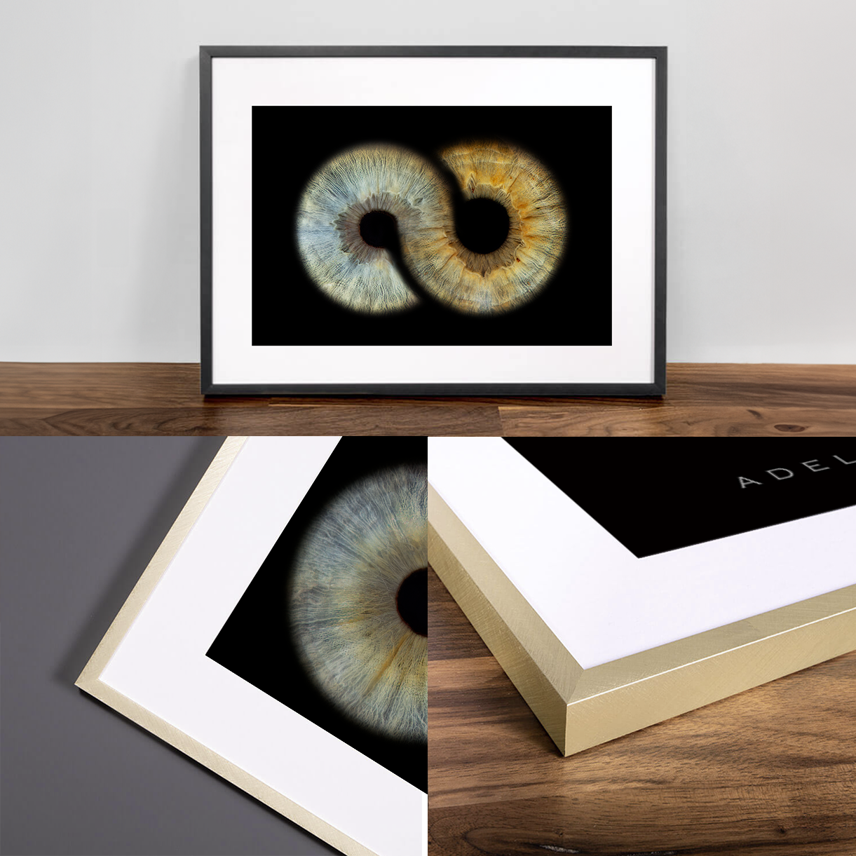 Aluminium Flush Framed Iris Wall Art