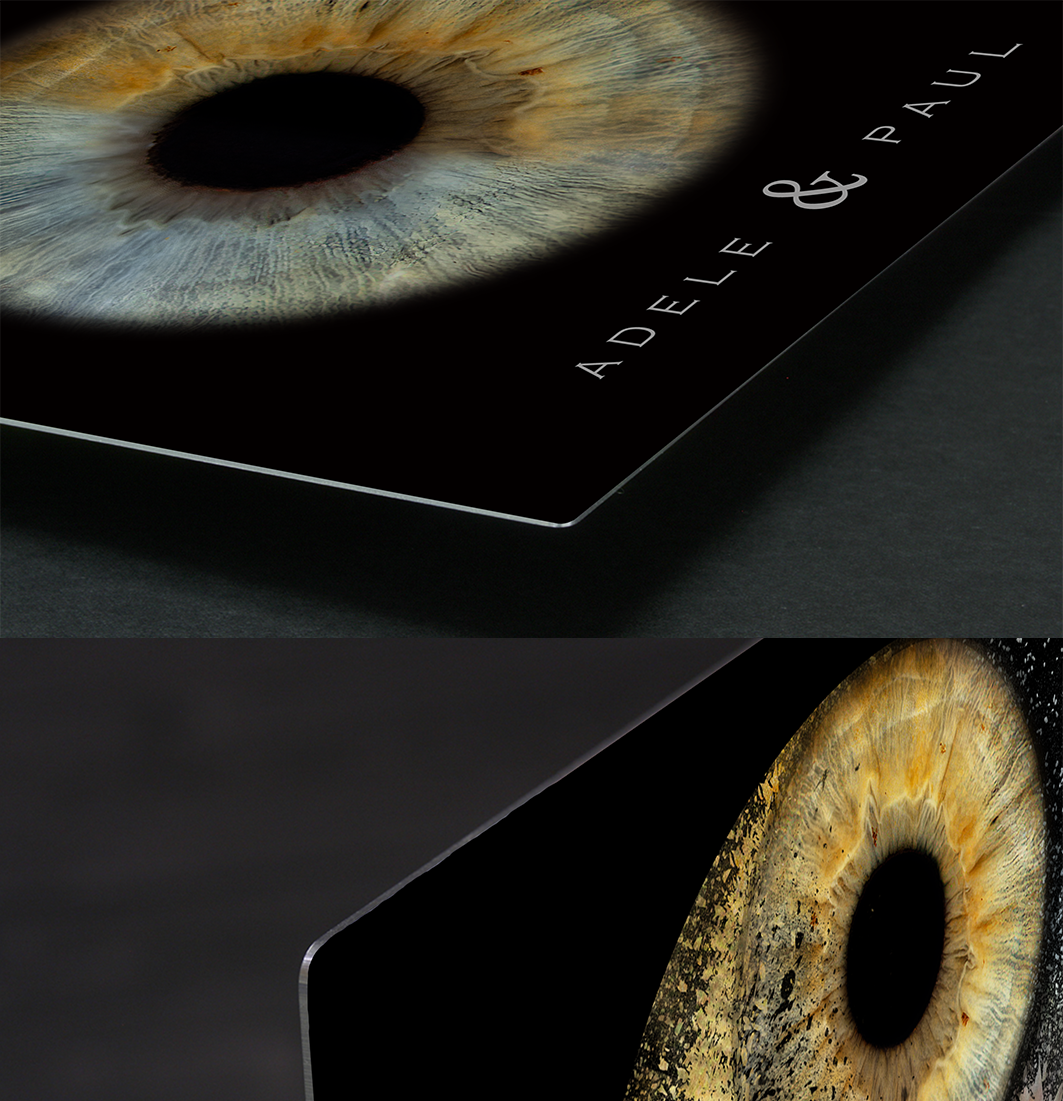 Aluminium Iris Wall Art