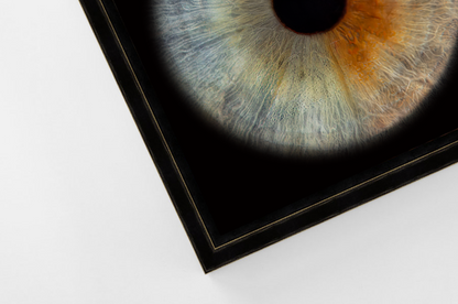 Aluminium Floating Framed Black PANORAMIC Iris Wall Art