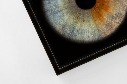 Aluminium Floating Framed Black PANORAMIC Iris Wall Art