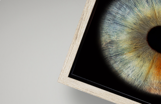Canvas Tray Coastal Seashell Frame RECTANGLE Iris Wall Art
