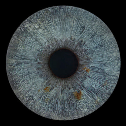 10 x 8 in - Iris Photographic Prints