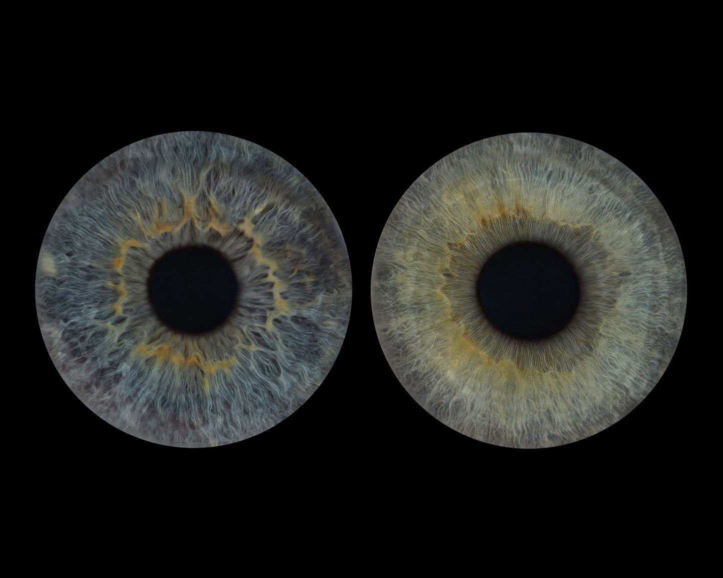 10 x 8 in - Iris Photographic Prints