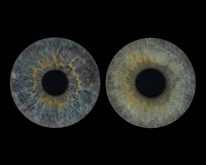 10 x 8 in - Iris Photographic Prints