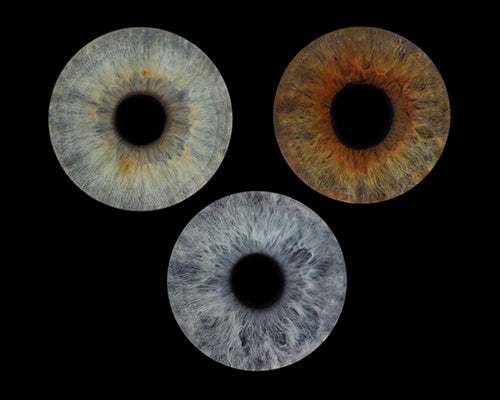 10 x 8 in - Iris Photographic Prints