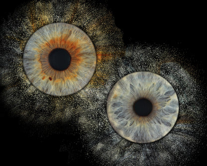 10 x 8 in - Iris Photographic Prints