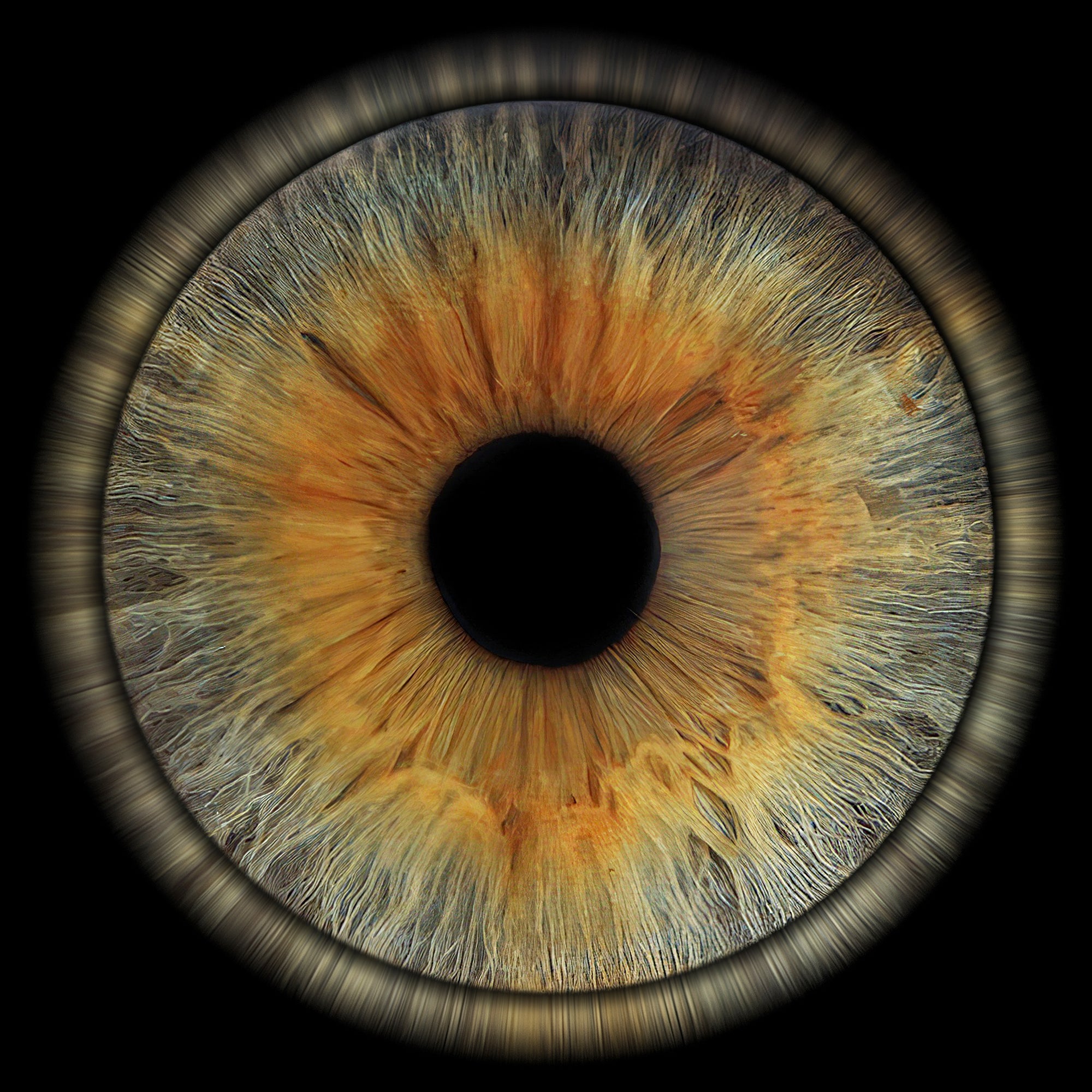 1 Iris Halo 1.jpg