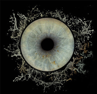 10 x 8 in - Iris Photographic Prints