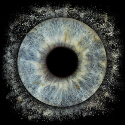 10 x 8 in - Iris Photographic Prints