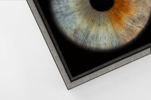 Aluminium Floating Framed Pewter PANORAMIC Iris Wall Art