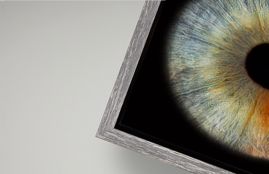 Canvas Tray Coastal Flint Frame RECTANGLE Iris Wall Art