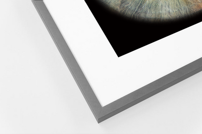 Flush Grey Aluminium PANORAMIC Framed Iris Wall Art Double Mount Card