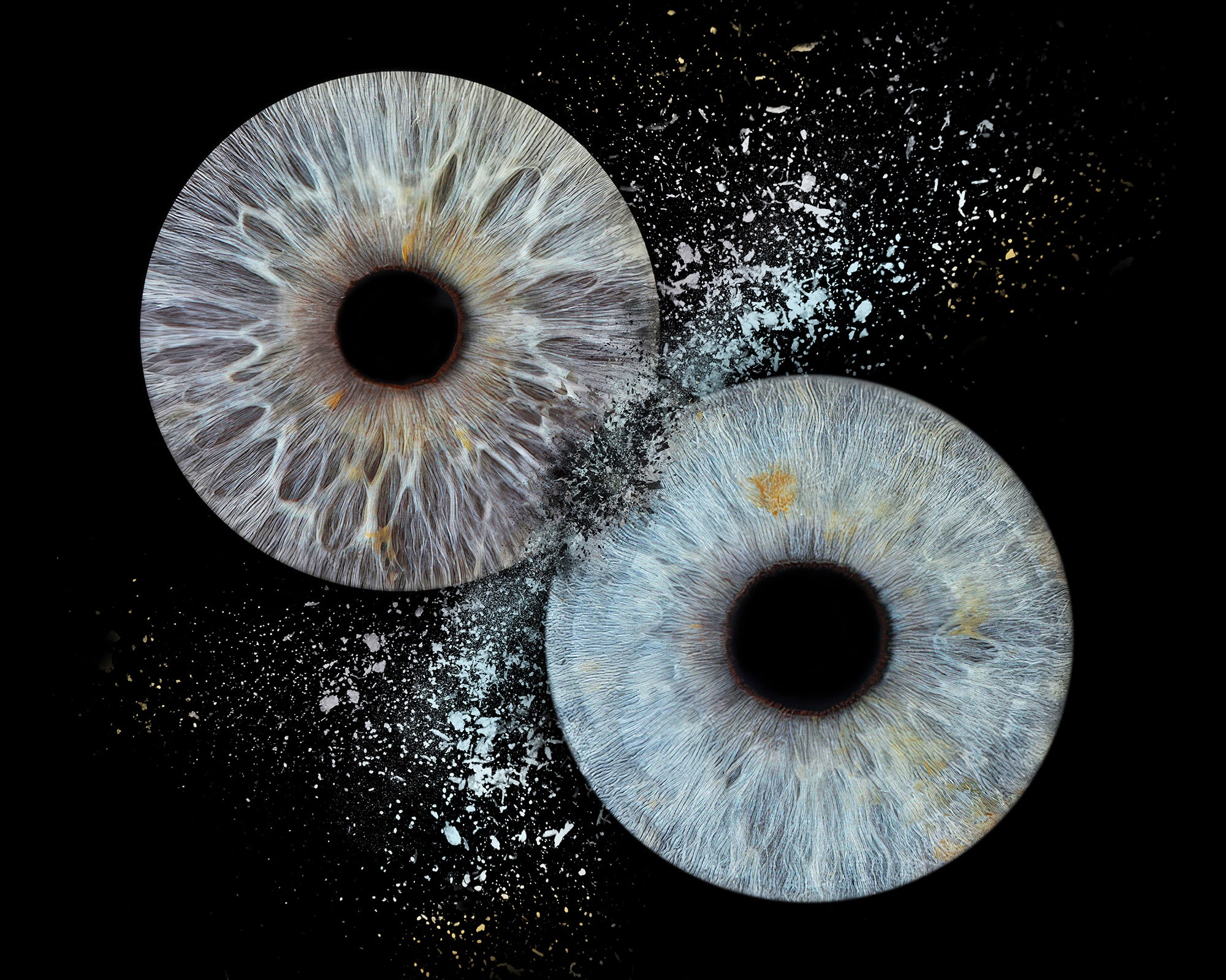 2 Iris Collision 6.jpg