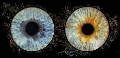Art Panel PANORAMIC Iris Wall Art Ratio 4:1