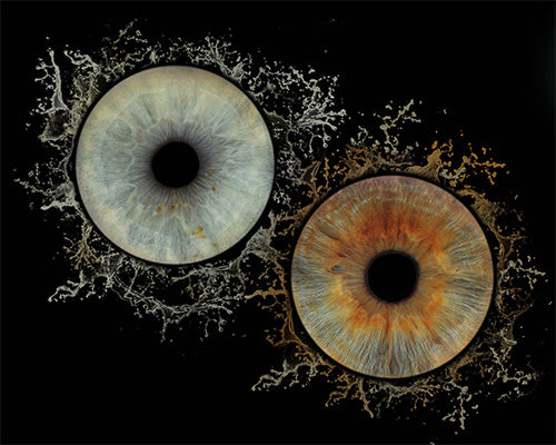 10 x 10 inch - Iris Photographic Prints