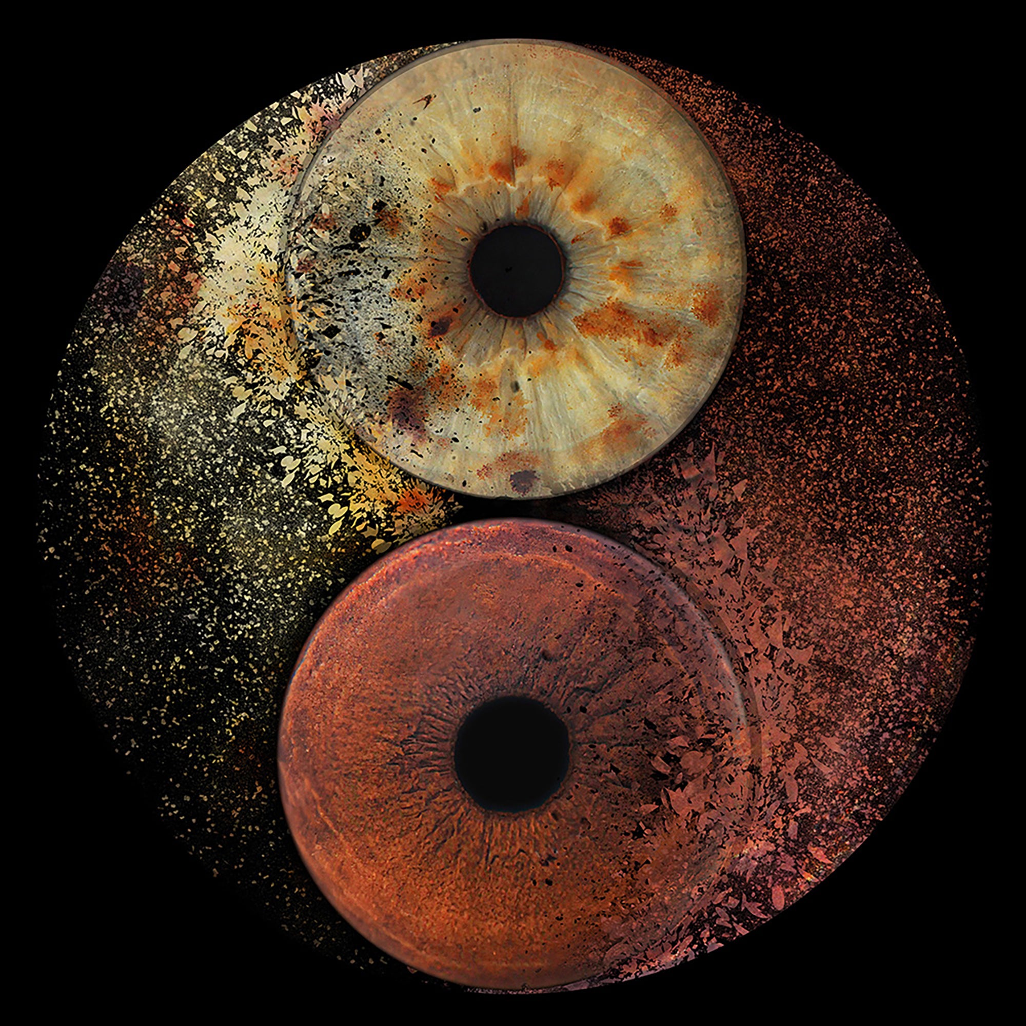 2 Iris Yin Yang 2.jpg