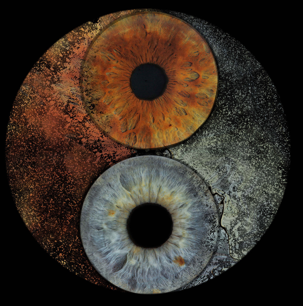 2 Iris Yin Yang 8.jpg