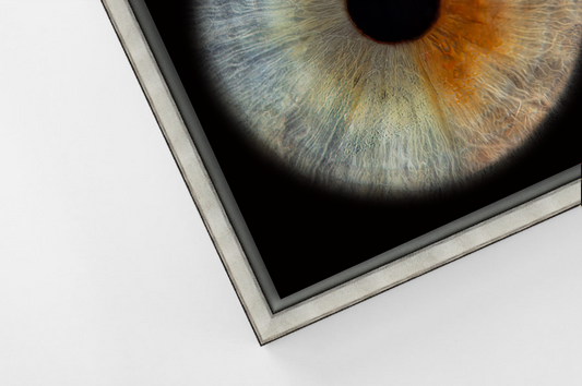 Aluminium Floating Framed Silver RECTANGLE Iris Wall Art