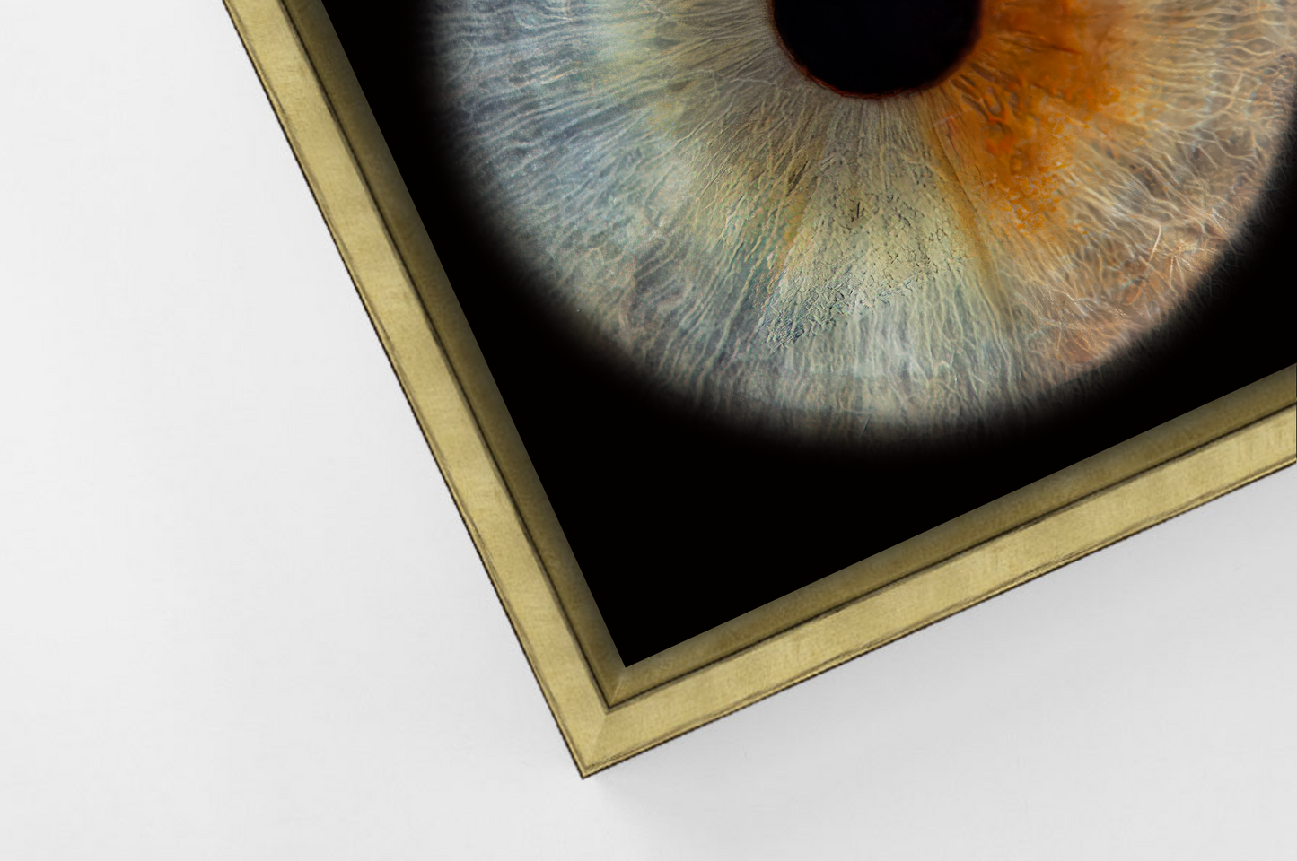 Aluminium Floating Framed Gold PANORAMIC Iris Wall Art