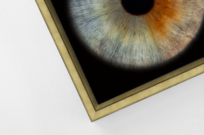 Aluminium Floating Framed Gold PANORAMIC Iris Wall Art