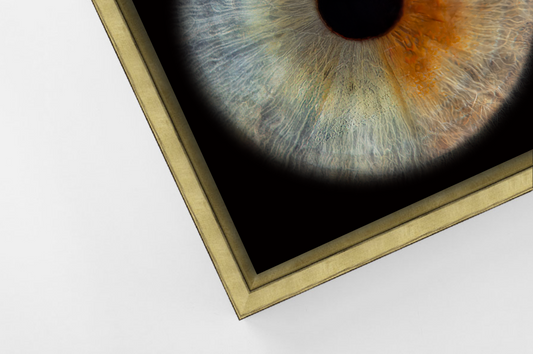 Aluminium Floating Framed Gold PANORAMIC Iris Wall Art
