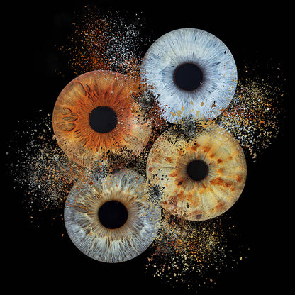 10 x 8 in - Iris Photographic Prints