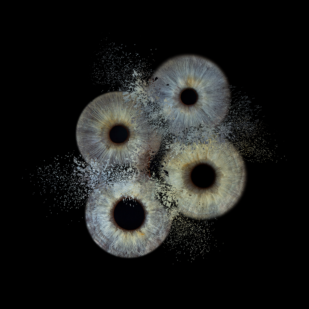 Metallic Round Iris Wall Art