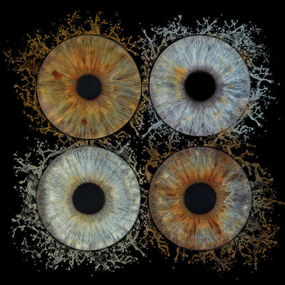 10 x 8 in - Iris Photographic Prints