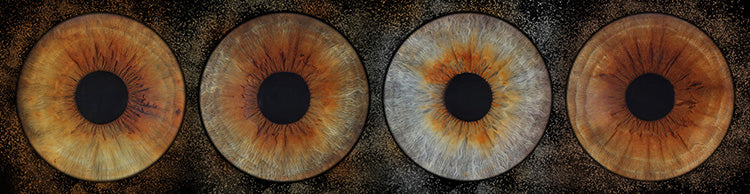 Iris Panoramic Photo Print  - 4 Irises